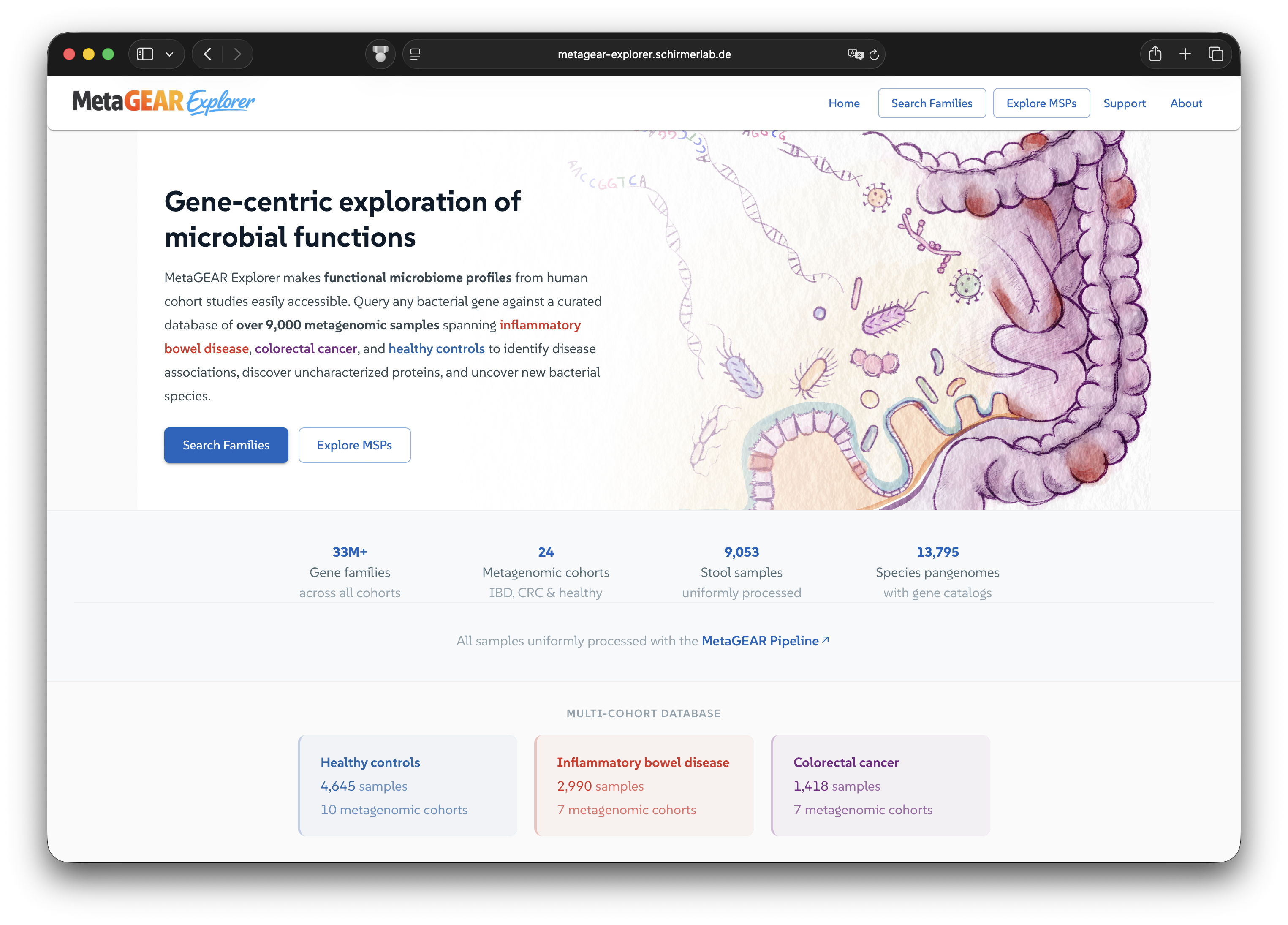 MetaGEAR Explorer landing page showing gene-centric search across published microbiome cohorts.