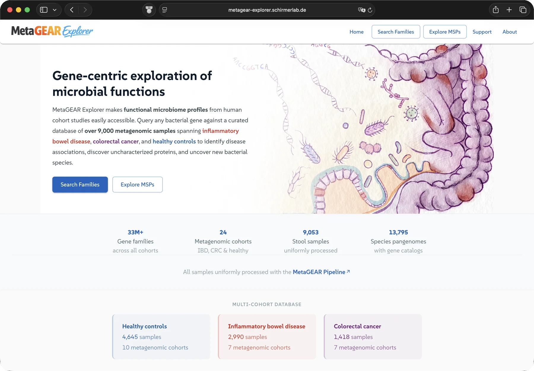MetaGEAR Explorer landing page: gene-centric search across published microbiome cohorts, with counts for gene families, cohorts, stool samples and species pangenomes.